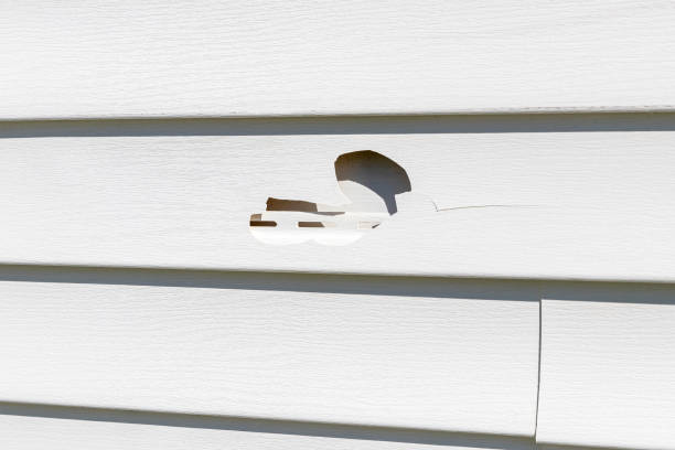 Reliable St James, MN Siding Installation & Repair Solutions